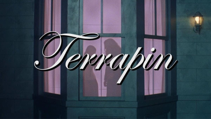 Clairo comparte el videoclip de "Terrapin"